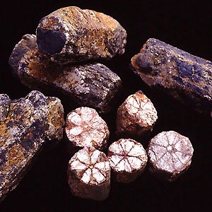 💎 기석 박물관 (키세키 하쿠부츠칸) 이미지 8